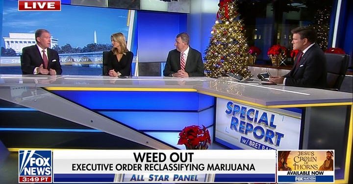 ALEX BERENSON: Trump’s marijuana order pushes a dangerous lie about drugs